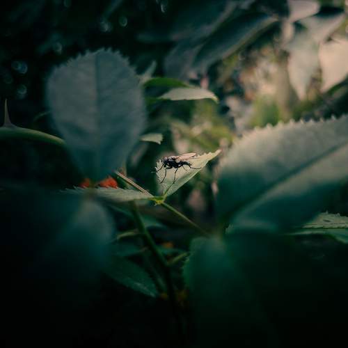 Photo #11664519