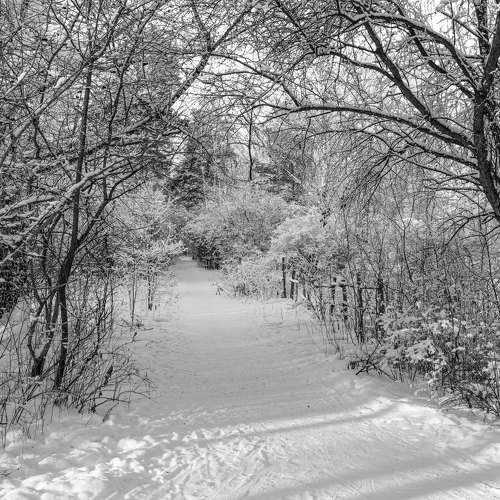 Фотография #11664704