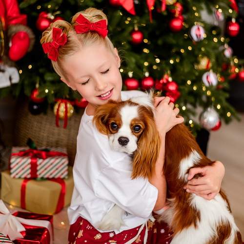 Фотография #11664909