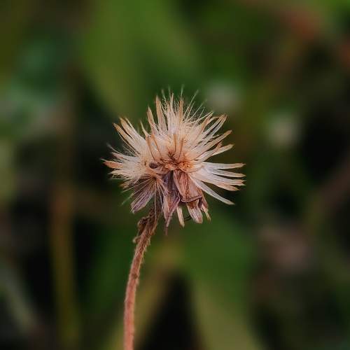 Photo #11665028