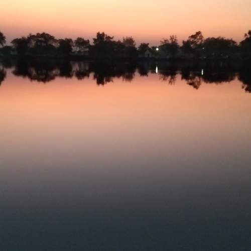 Photo #11665248