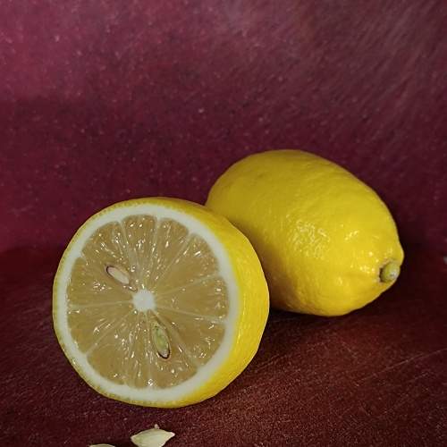 Photo #11665438