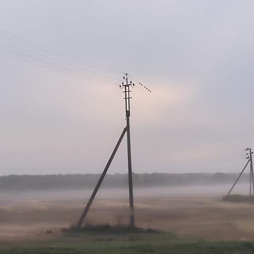 Photo #11666406
