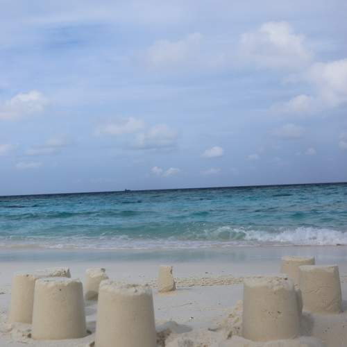 Фотография #11666546