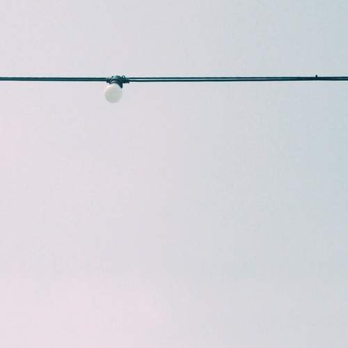 Photo #11667006