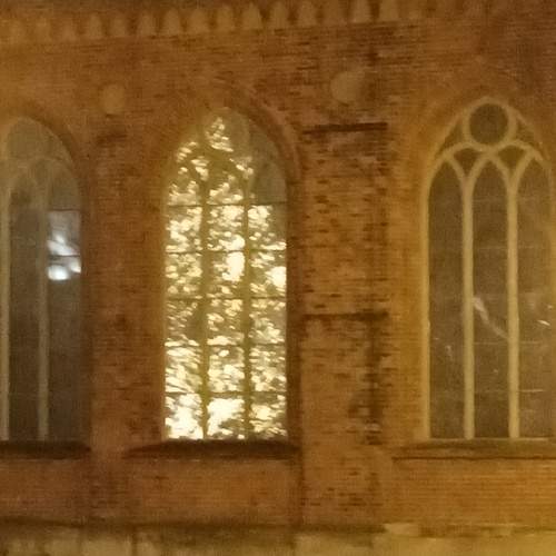 Photo #11667212