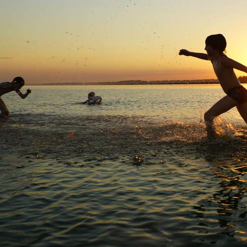 Photo #11667505