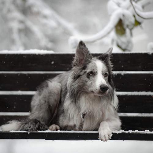 Photo #11667725
