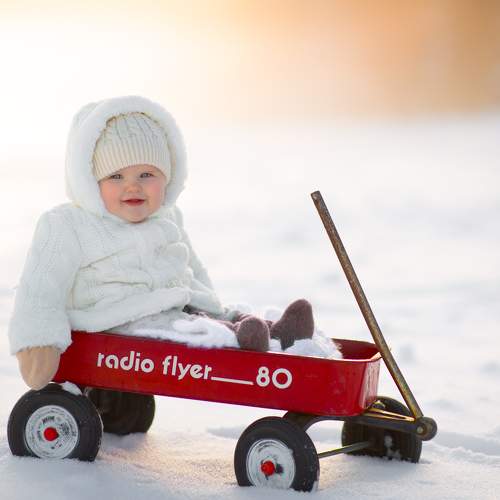 Photo #11667887