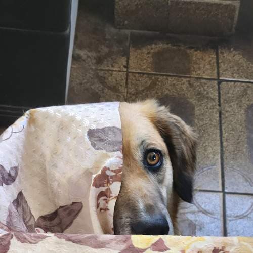 Photo #11667955