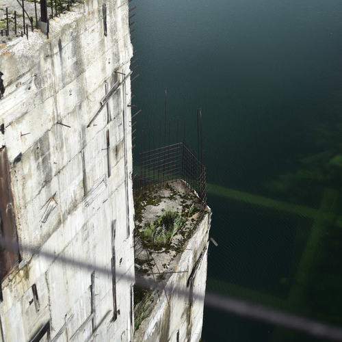Photo #11668185