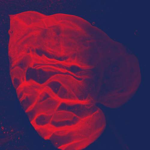 Photo #11668231