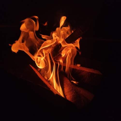 Photo #11668429