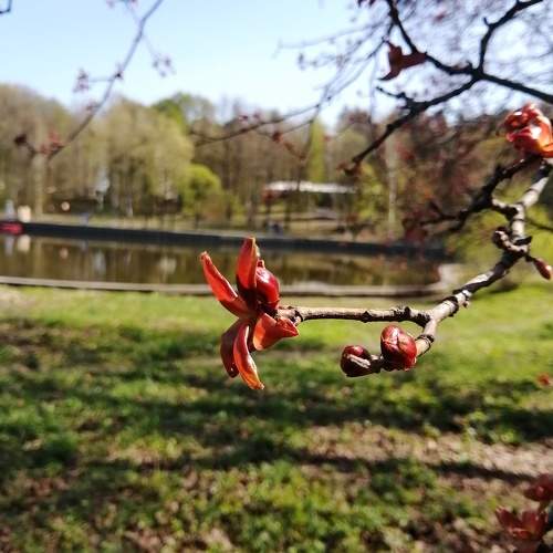 Photo #11669172