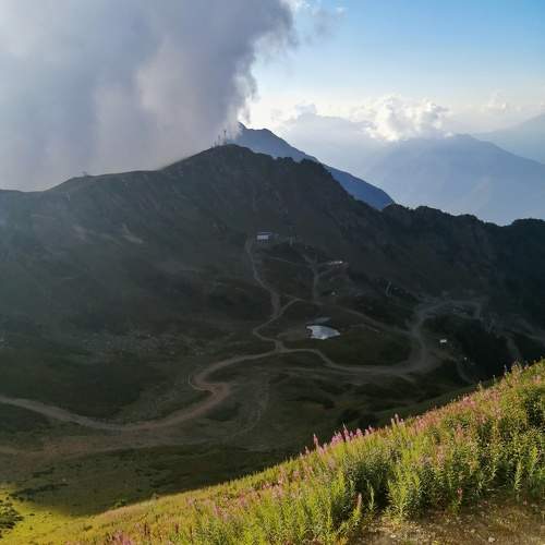 Photo #11669185