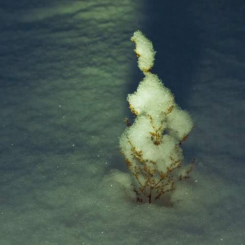 Photo #11669190