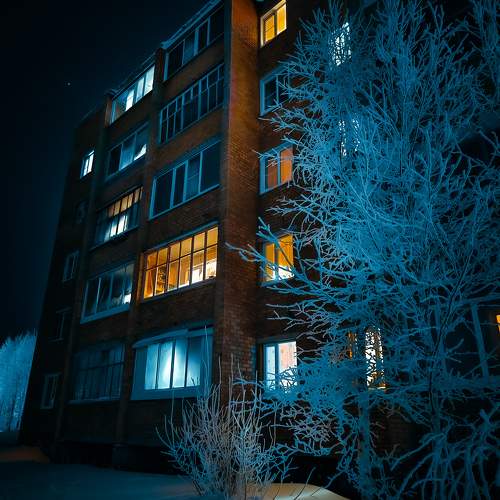Photo #11669746