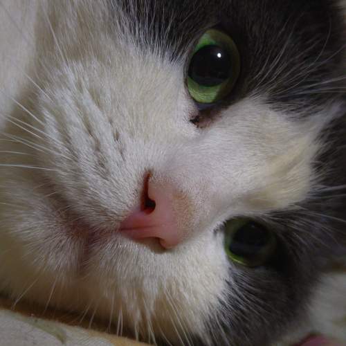 Photo #11670143