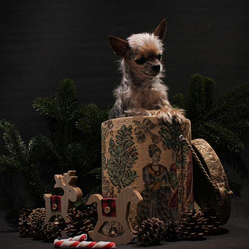 Photo #11670201