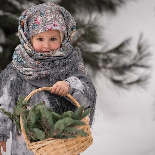 Photo #11670246