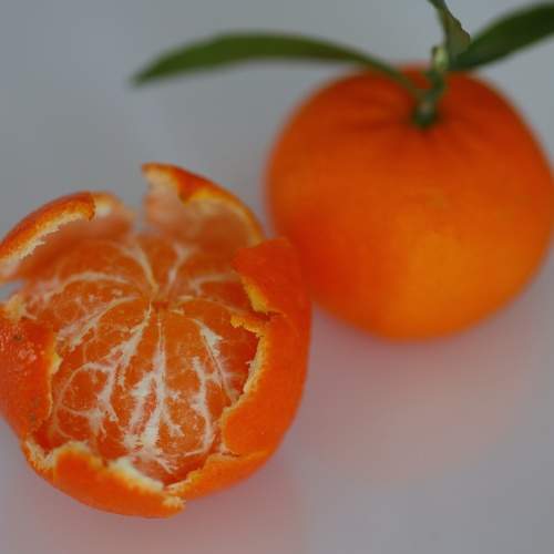 Photo #11670447