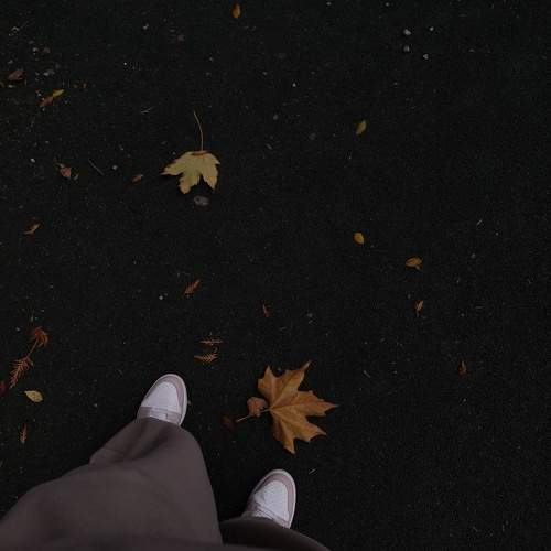 Photo #11670618