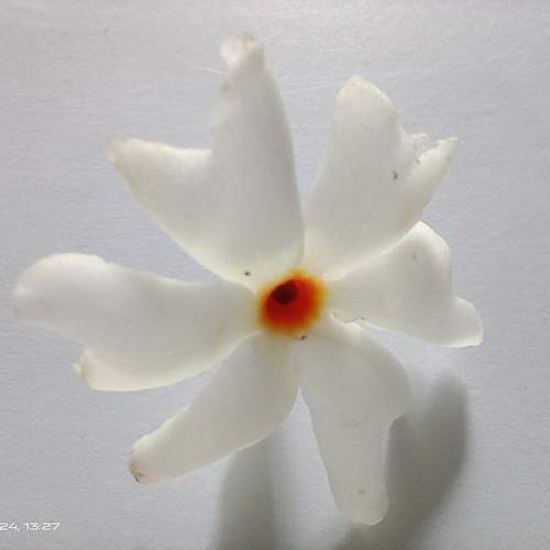 Photo #11671173