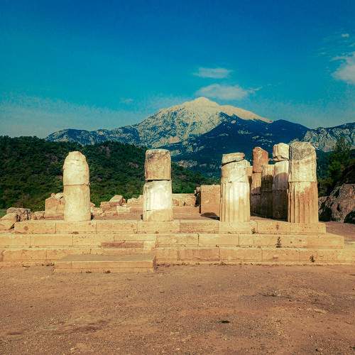 Photo #11671438