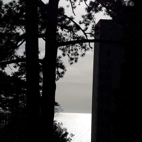 Photo #11671646
