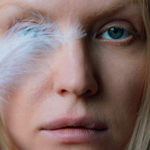 Photo #11671783