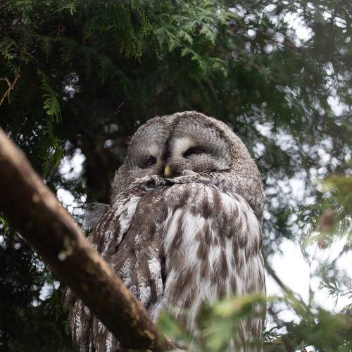 Photo #11671828