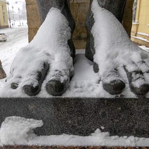 Photo #11672160