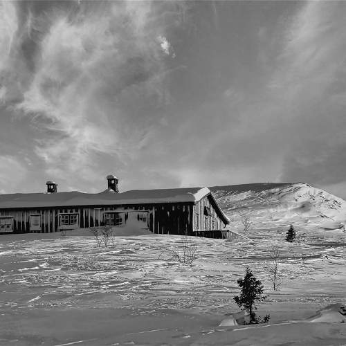 Photo #11672545