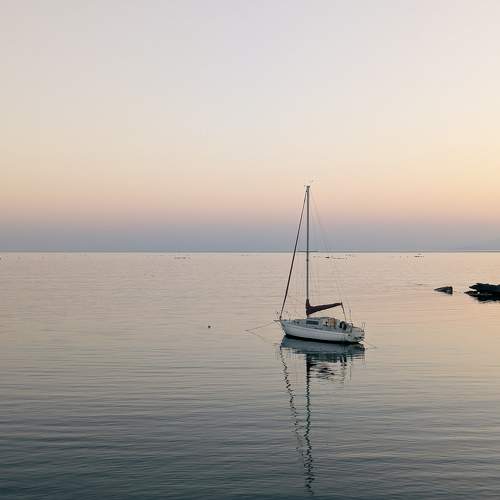 Photo #11672565