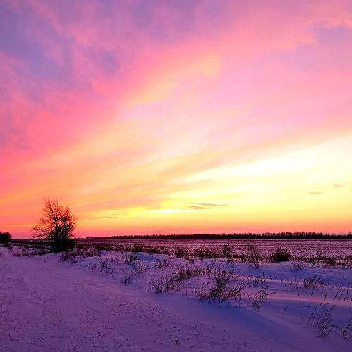 Photo #11672687