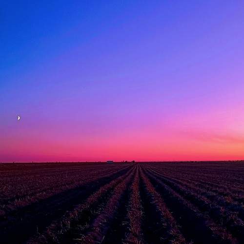 Photo #11672689