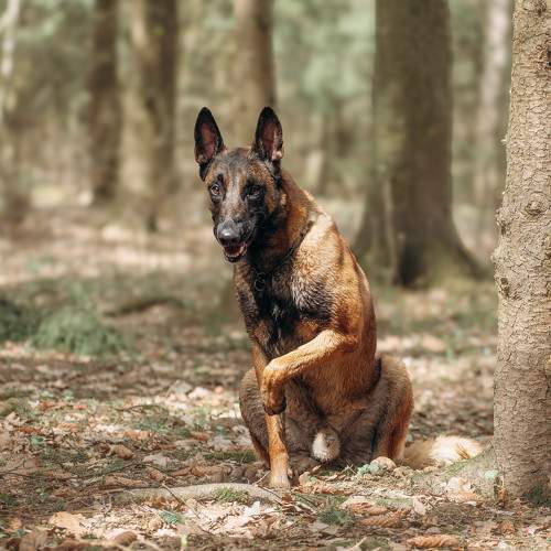 Photo #11672707