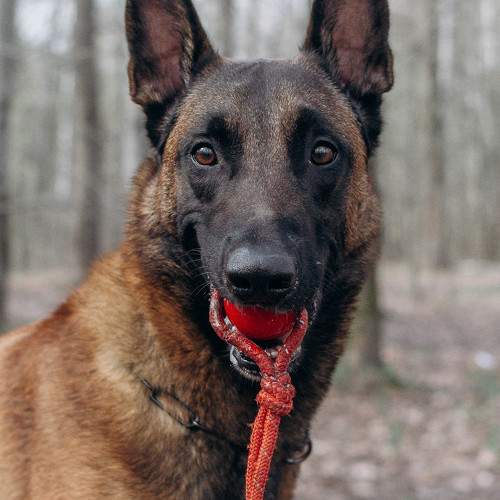 Photo #11672718