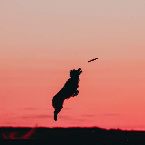 Photo #11672795