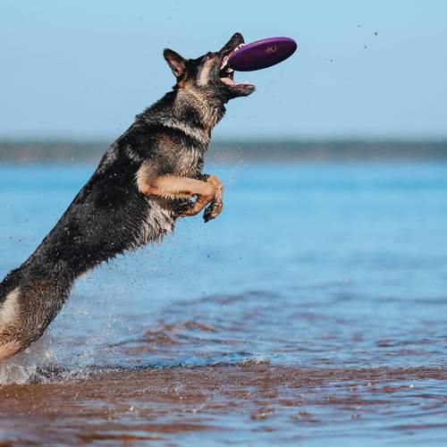 Photo #11672819