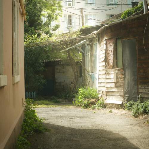 Photo #11673194