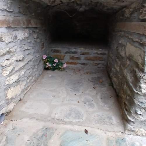 Photo #11673336