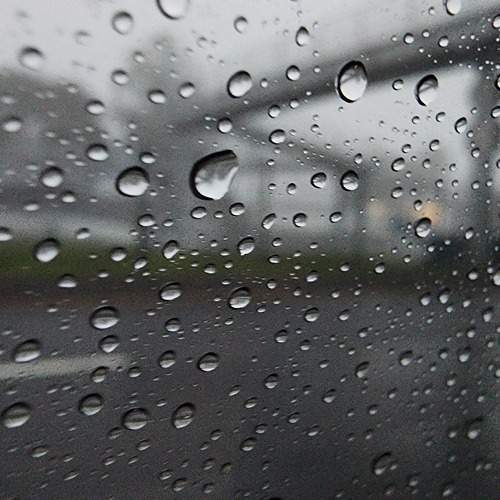 Photo #11673414