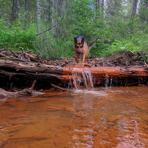 Photo #11673691