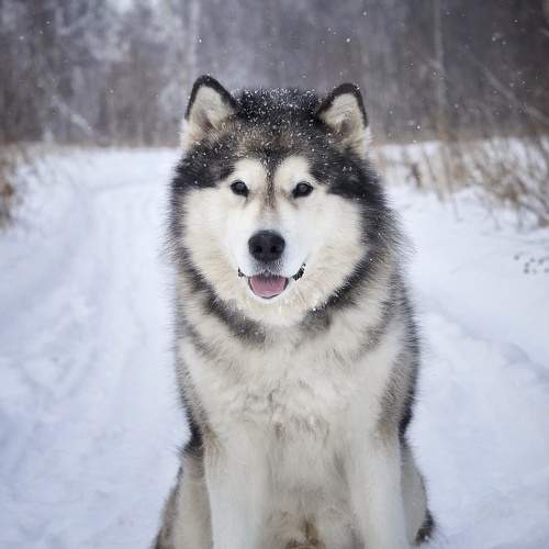 Photo #11673692