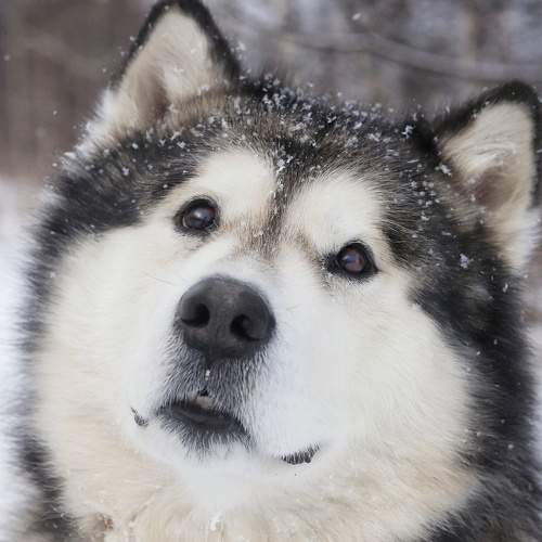 Photo #11673693