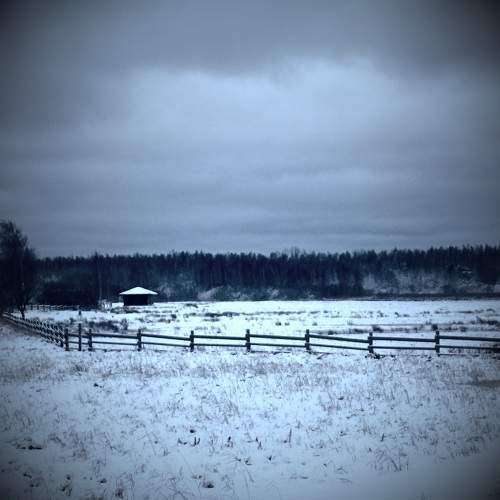 Photo #11673814