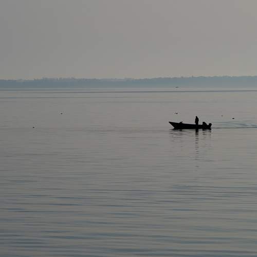 Photo #11673996