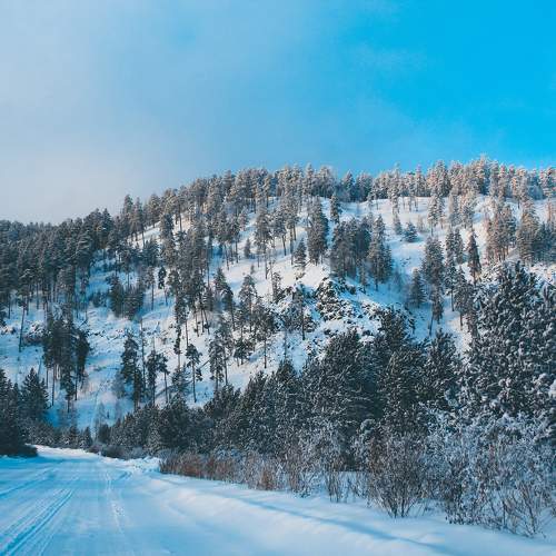 Photo #11674070