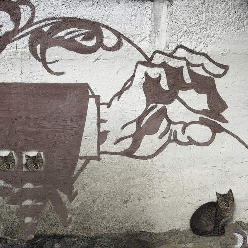 Photo #11674133